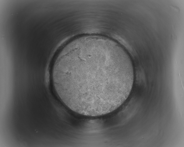X0000101670584200807171338