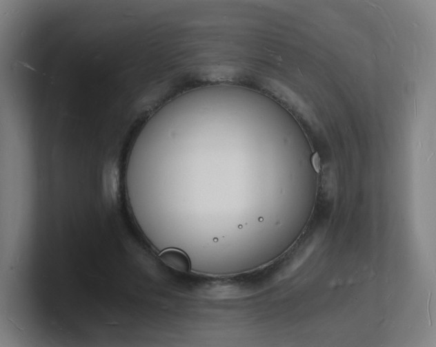X0000101670589200807171338