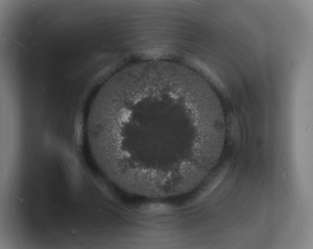 X0000101670590200807171338