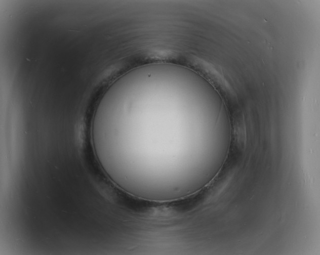 X0000101670591200807171337