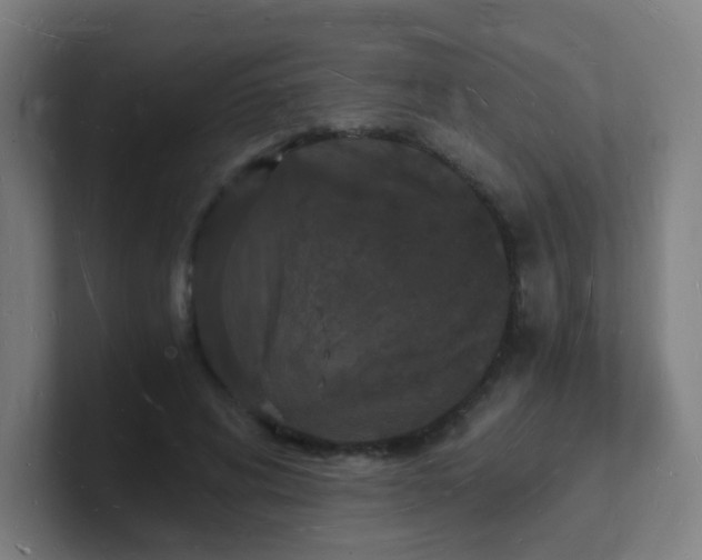 X0000101670592200807171337