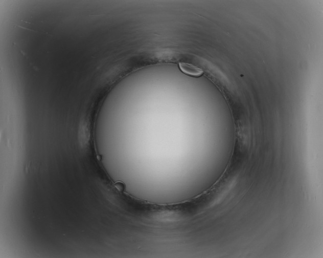 X0000101670593200807171337