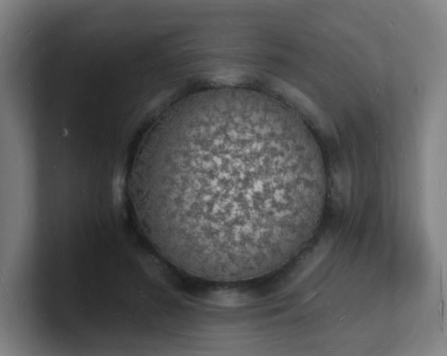 X0000101670596200807171337
