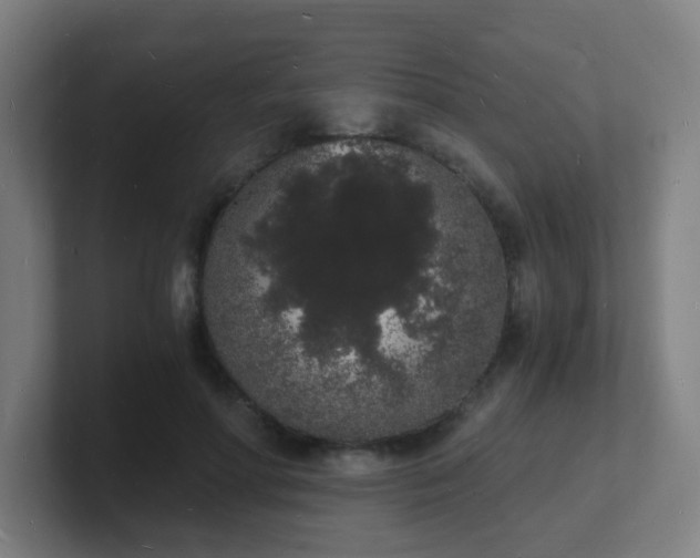 X0000101670598200807171337