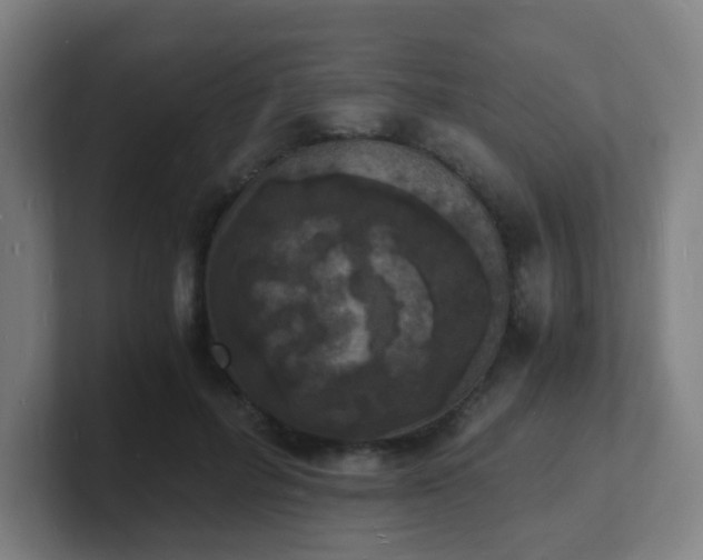 X0000101670600200807171337