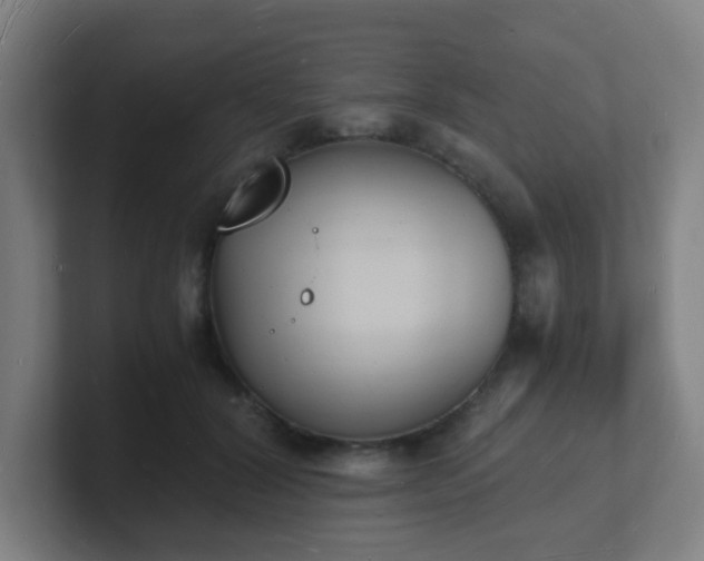 X0000101670604200807171337