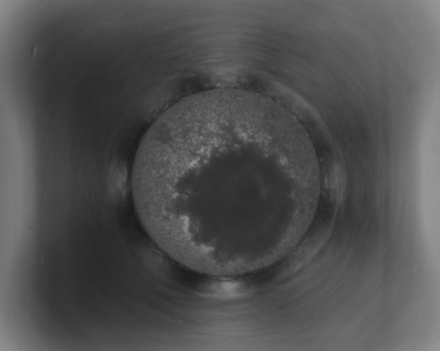 X0000101670610200807171337