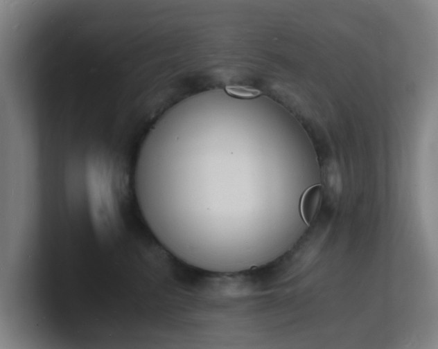 X0000101670615200807171337