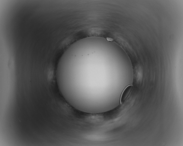 X0000101670619200807171337