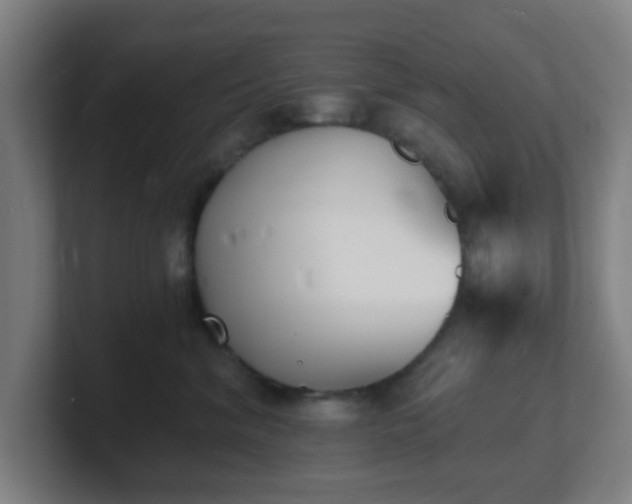 X0000101670620200807171337