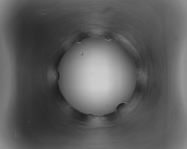 X0000101670621200807171337