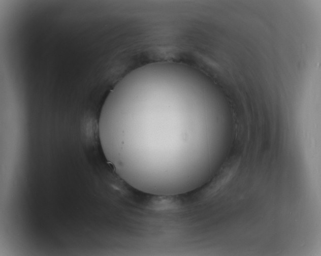 X0000101670624200807171337