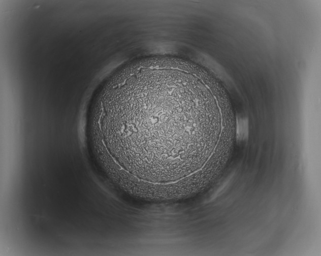 X0000101670627200807171336