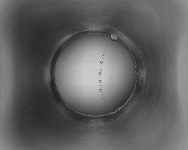 X0000101670628200807171336