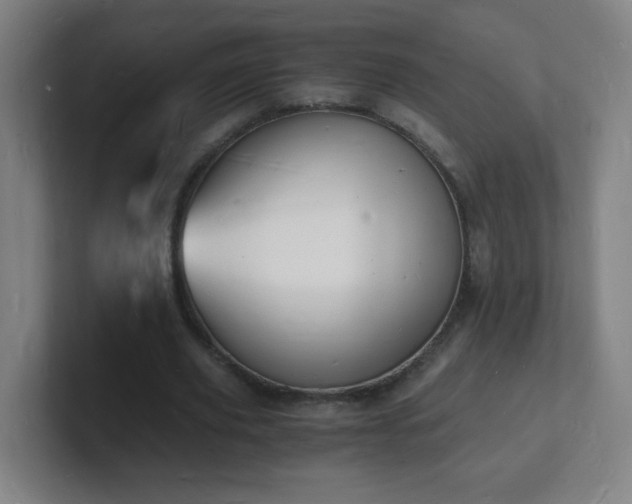 X0000101670629200807171336
