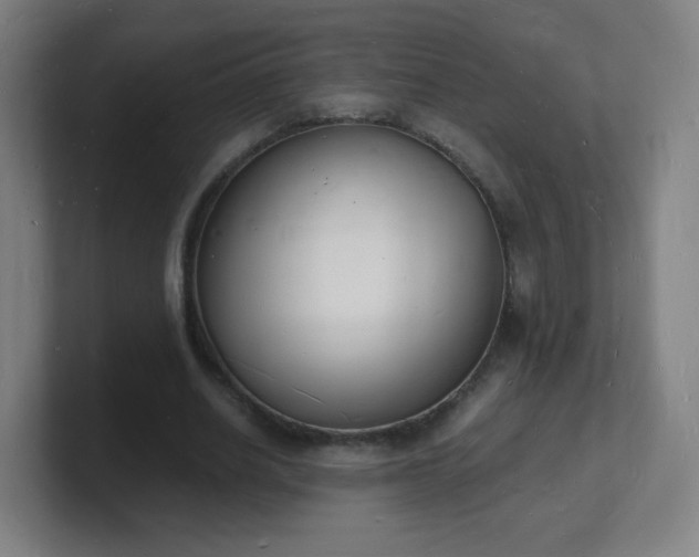 X0000101670630200807171336