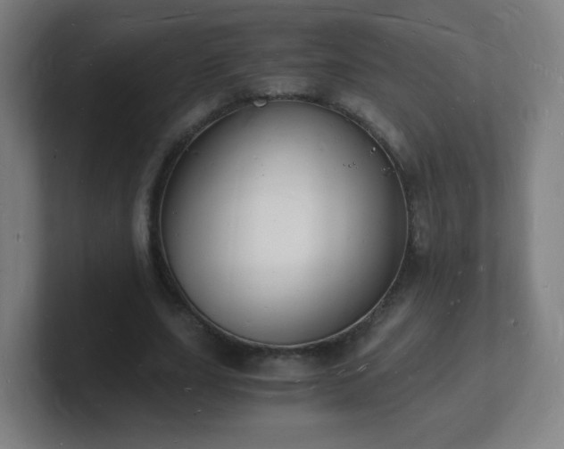 X0000101670631200807171336