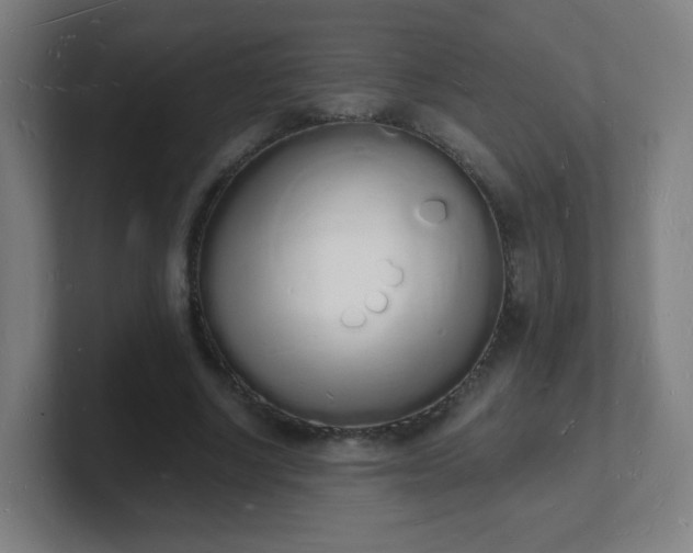 X0000101670634200807171337