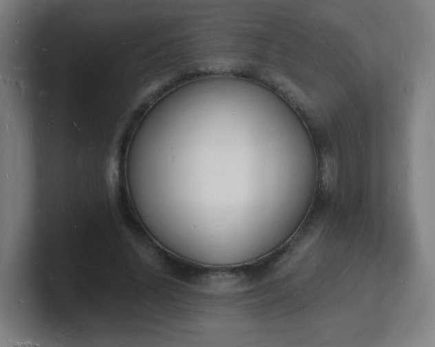 X0000101670636200807171337