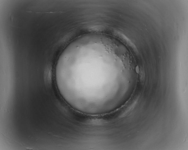 X0000101670637200807171337