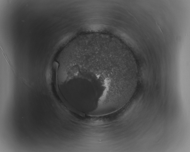 X0000101670640200807171337