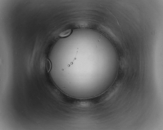 X0000101670645200807171337
