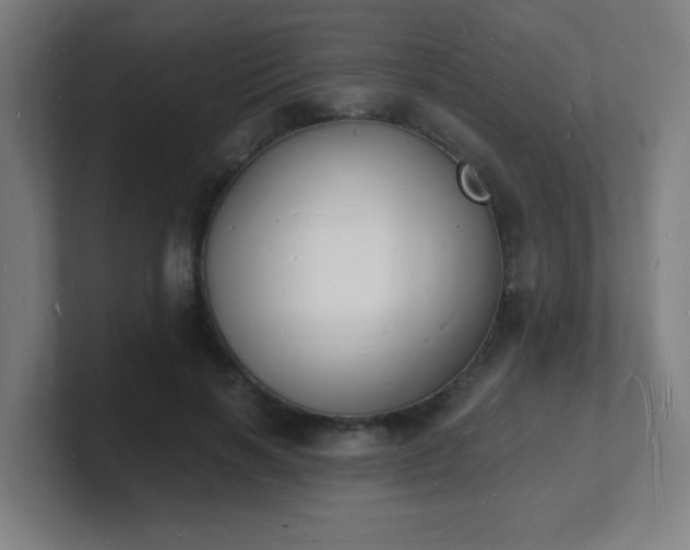 X0000101670646200807171337