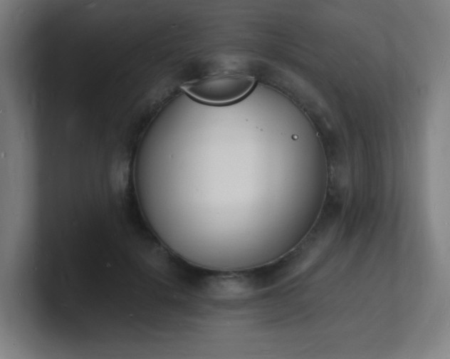 X0000101670652200807171337