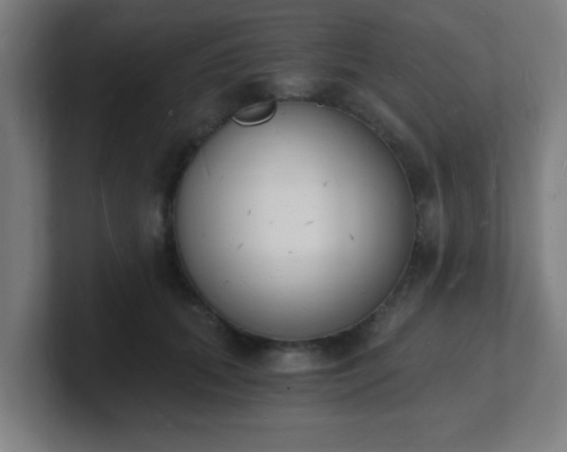 X0000101670655200807171337