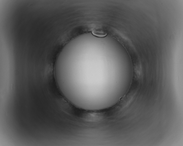 X0000101670657200807171337