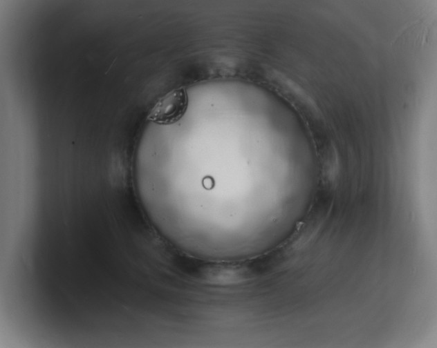 X0000101670661200807171337