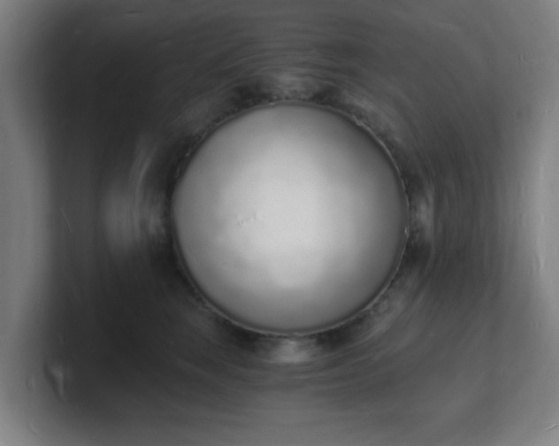 X0000101670663200807171337