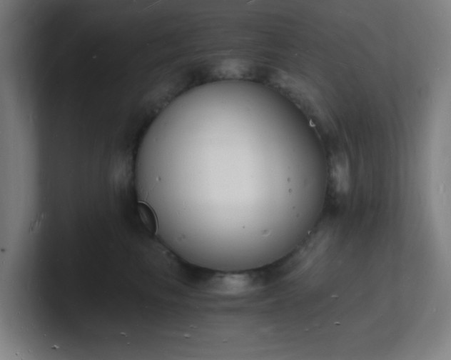 X0000101670665200807171337