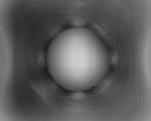 X0000101670666200807171337