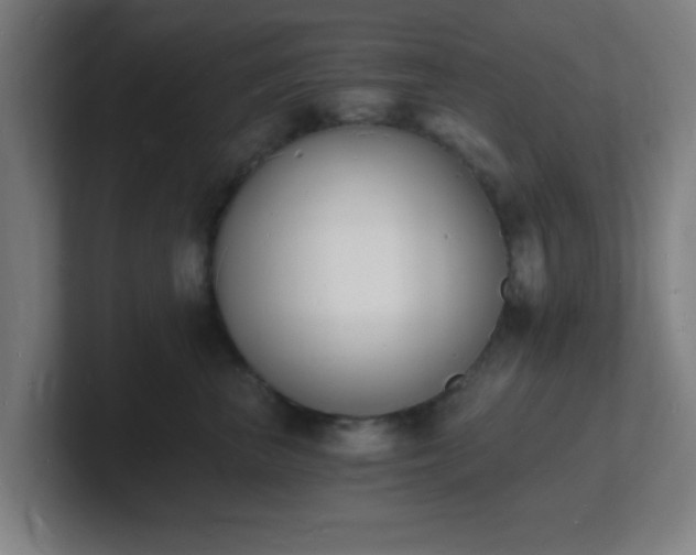 X0000101670667200807171337