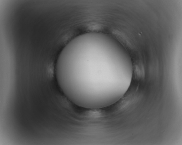 X0000101670668200807171337