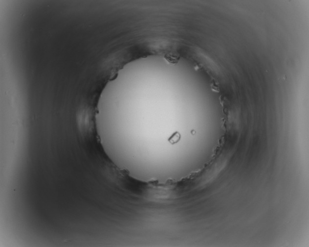 X0000101670671200807171337