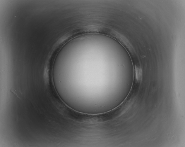 X0000101670675200807171336