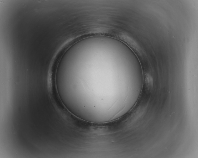 X0000101670676200807171336