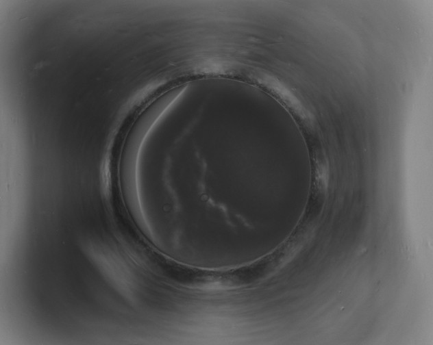 X0000101670678200807171336