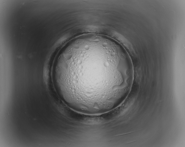 X0000101670679200807171336