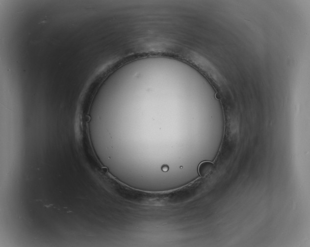 X0000101670680200807171336