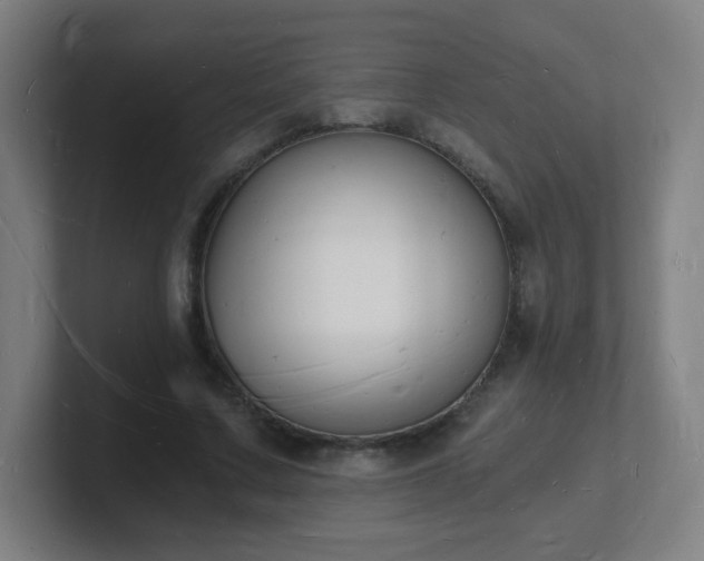 X0000101670683200807171336