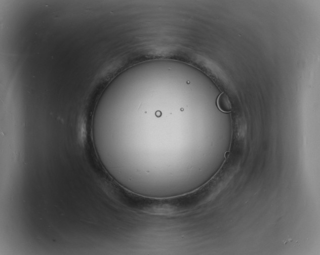 X0000101670685200807171336