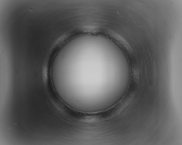 X0000101670686200807171336