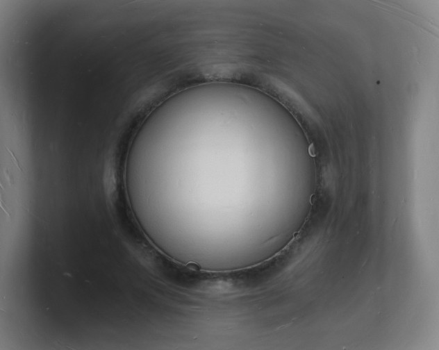 X0000101670687200807171336