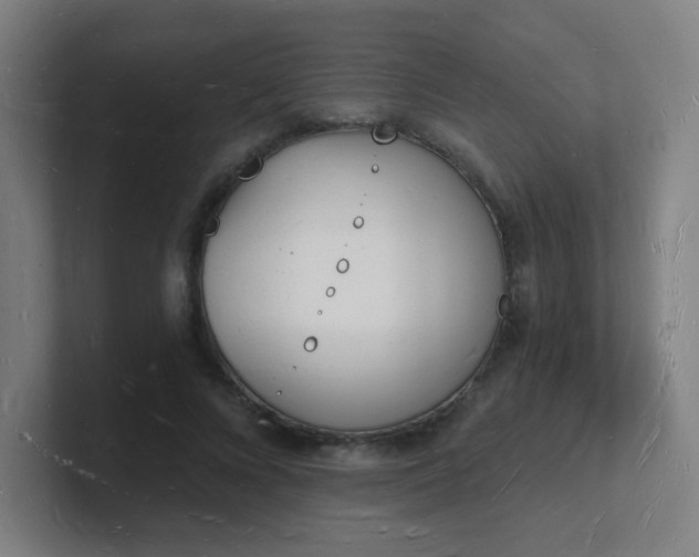 X0000101670688200807171336