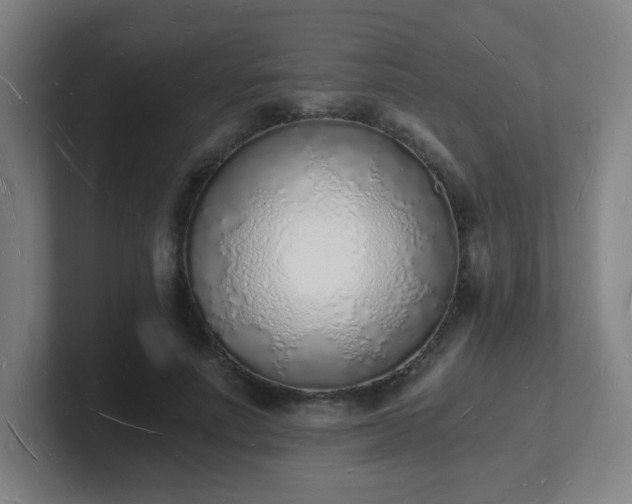 X0000101670691200807171336