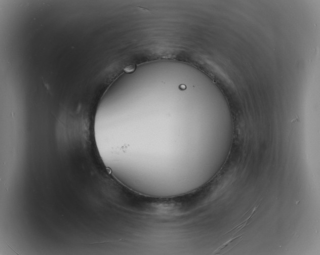 X0000101670693200807171336