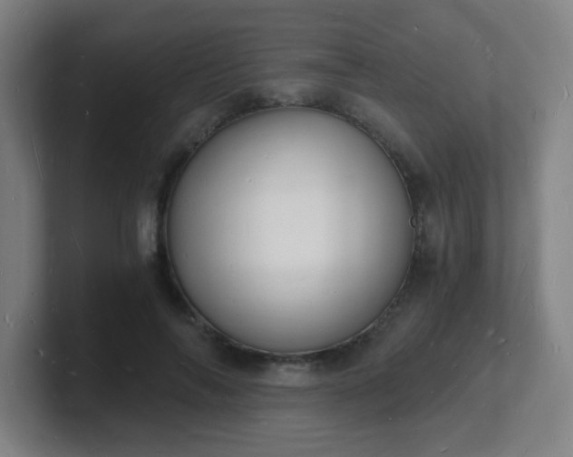 X0000101670694200807171336